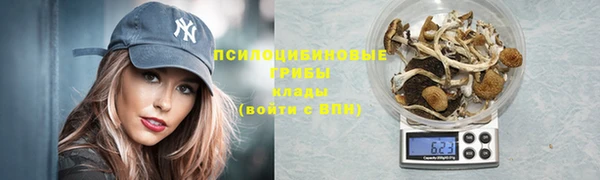 стаф Алексин