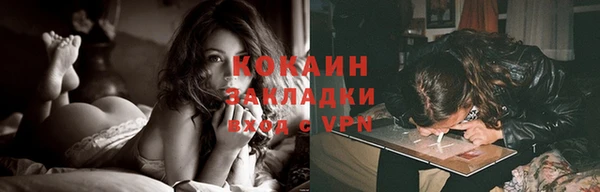 стаф Алексин