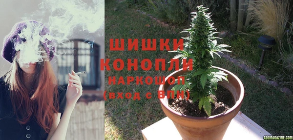 бошки Алзамай