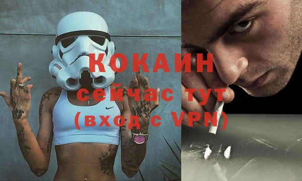 стаф Алексин