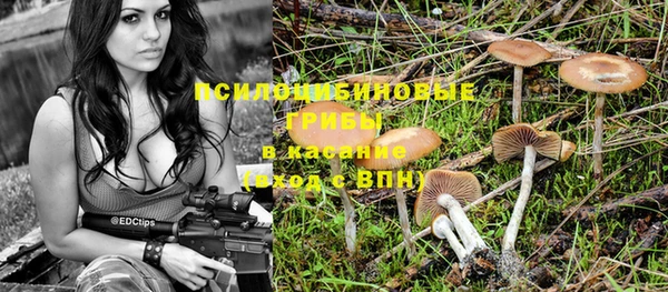 трава Алексеевка