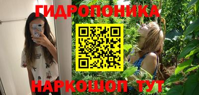 apvp Волжск