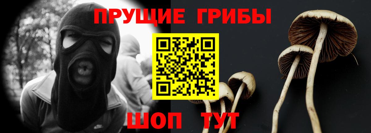 Томск  Галлюциногенные грибы ЛСД  цены наркотик  Вход с VPN 